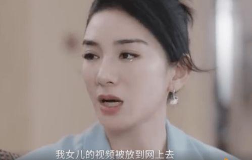 黄毅清爆料陆毅视频播放,真相与舆论的漩涡